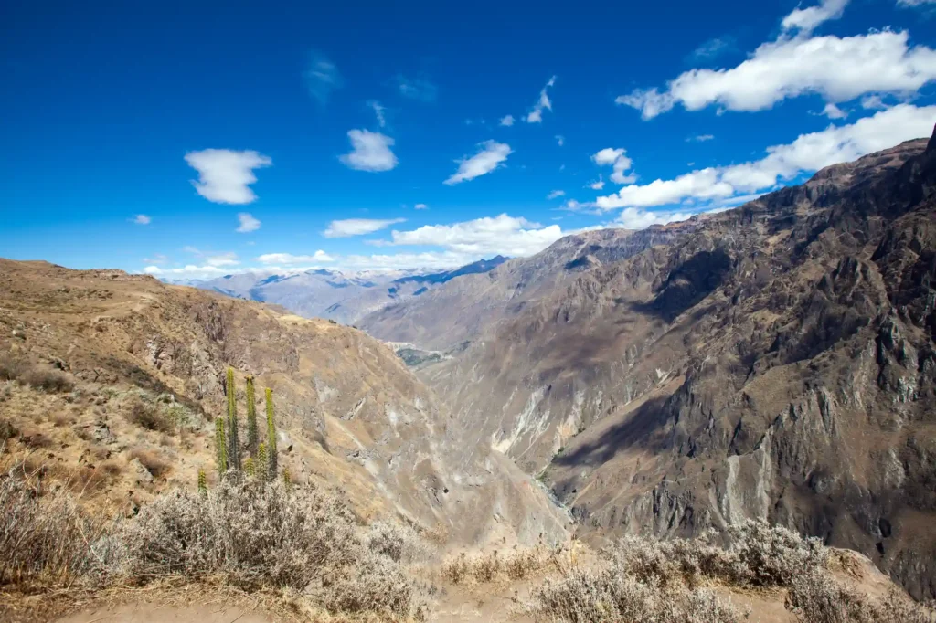 Conventional Colca Tour 2 days