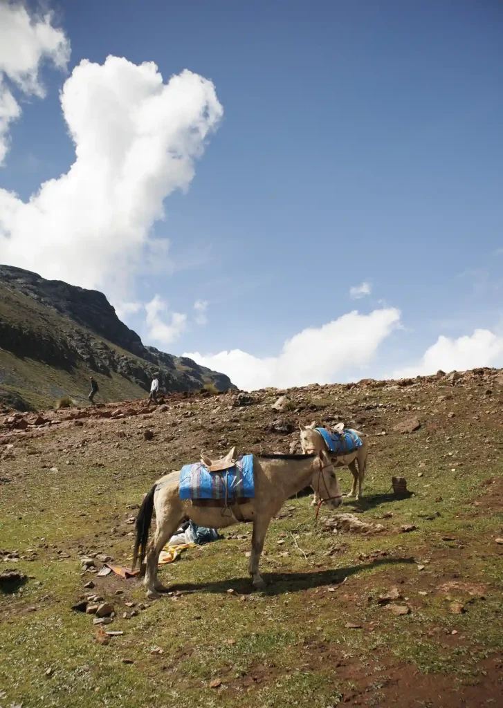 Trek Ausangate y Montaña de Colores 6 Días